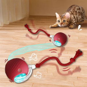 PettyPaw™ Interactive Toy Ball for Pets