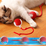 PettyPaw™ Interactive Toys Ball for Pets