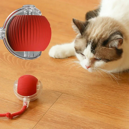 PettyPaw™ Interactive Toys Ball for Pets