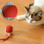 PettyPaw™ Interactive Toys Ball for Pets