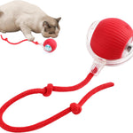 PettyPaw™ Interactive Toys Ball for Pets