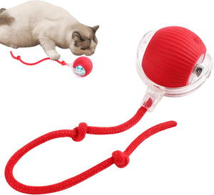 PettyPaw™ Interactive Toy Ball for Pets