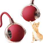 PettyPaw™ Interactive Toys Ball for Pets