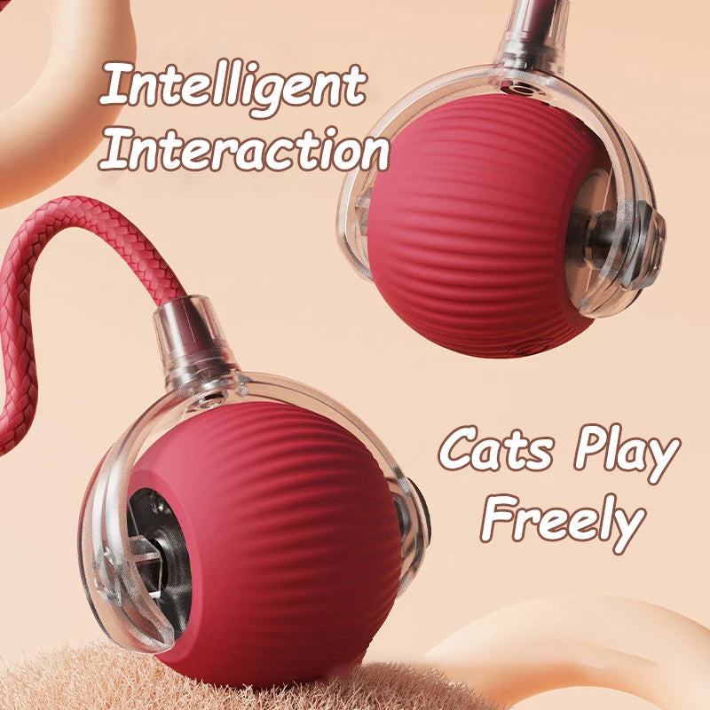 PettyPaw™ Interactive Toys Ball for Pets